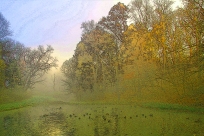 The Houska Pond at dawn